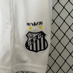Santos 2011/2012