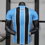 Gremio 2025/26